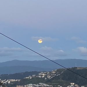 Meet your Posher, Lara